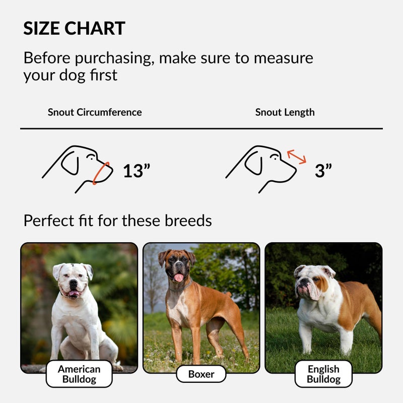 CollarDirect Leather Basket Dog Muzzle for Boxer, English American Bulldog Secure Anti-Barking Biting Chewing Adjustable Breathable (Brown) - Image 2